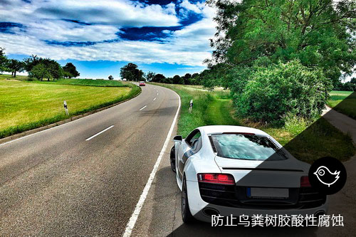 汽车膜